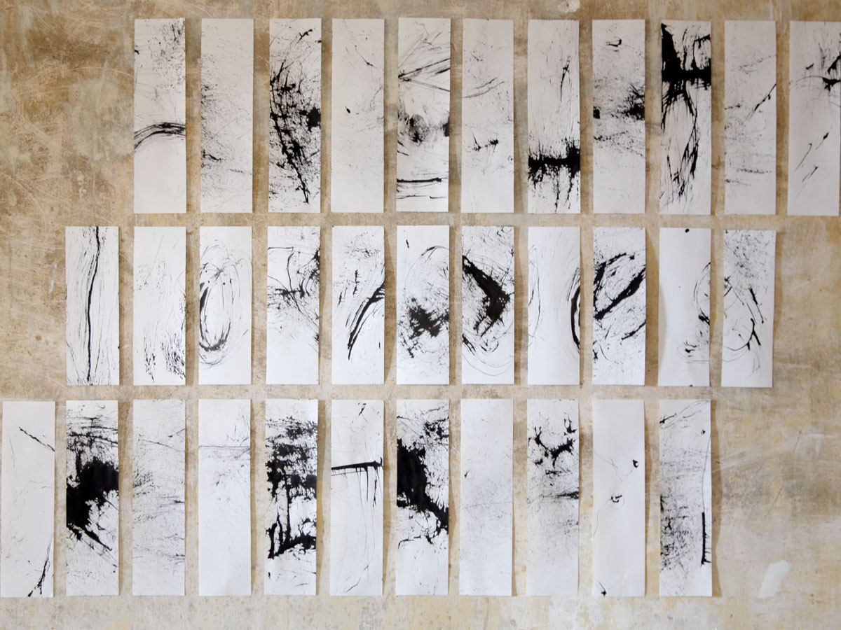 Facquer Amandine-Herbes noires, encre sur papier (réalisé avec des pinceaux d'herbes), 24 de 8 x 29,5 cm, 11 de 8 x 23,7 cm, 2014-web