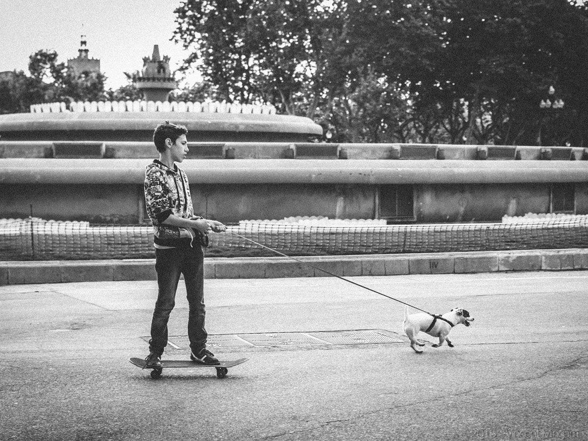 Bixpix-Le Skateboarder et son Chien-Photographie-30x40cm-2015